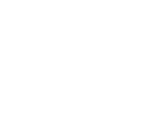 The Points Guy